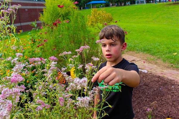 boy in a flower garden with butterflies